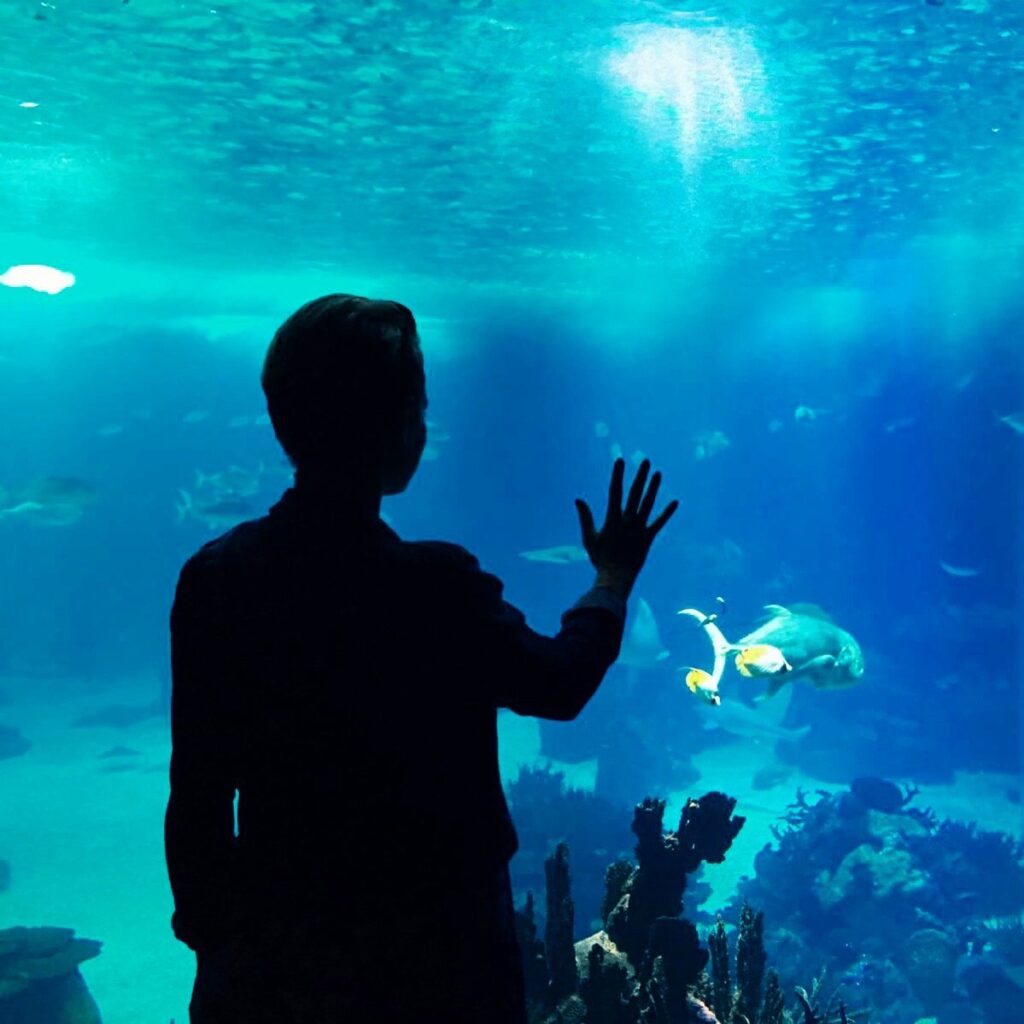 Lisboa aquario
