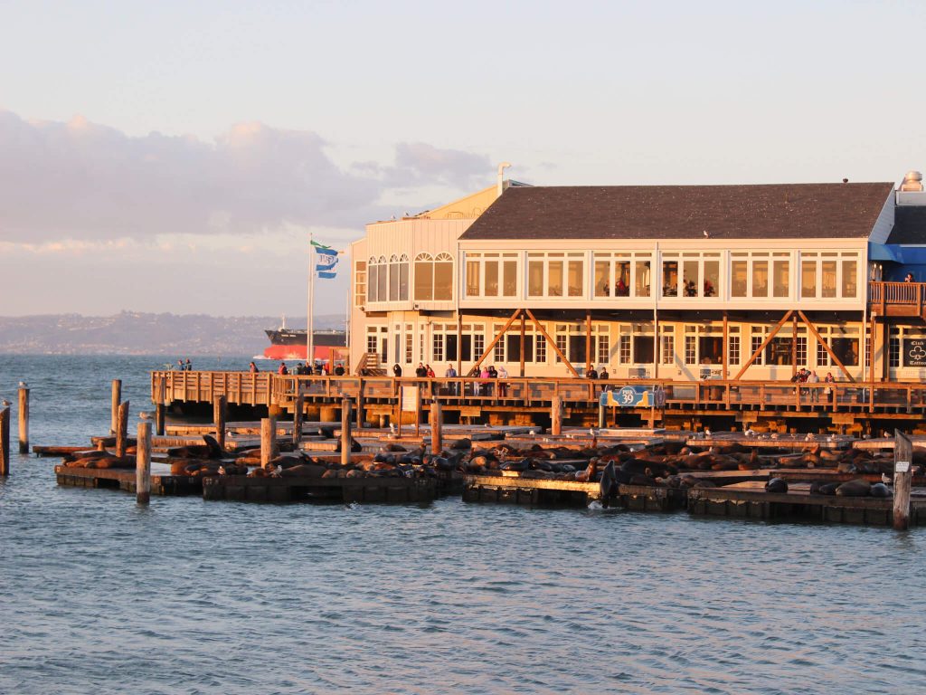 Muelle san francisco