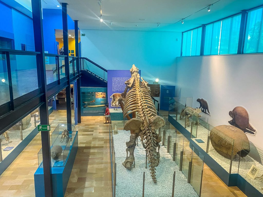El Museo de Prehistoria de Valencia